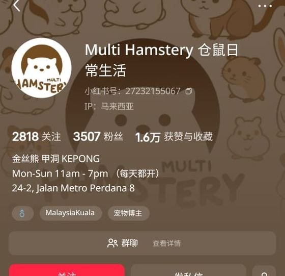 Multi Hamstery 认证前